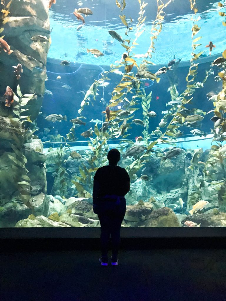 Ripley´s Aquarium